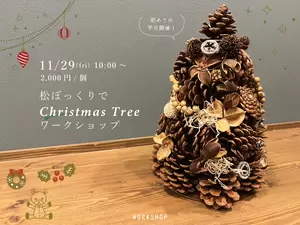 【終了しました】11月29日(金)松ぼっくりでChristmasTreeを作ろう★の画像