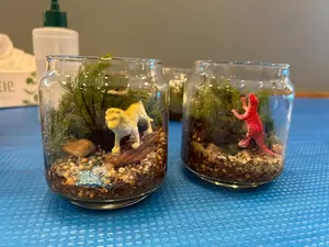 苔テラリウムワークショップを開催しましたの画像